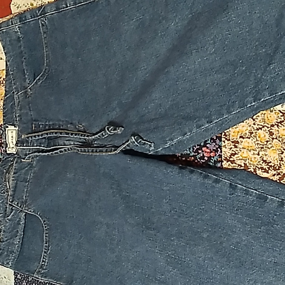 In Charge Capris Jeans Mid Rise Pants